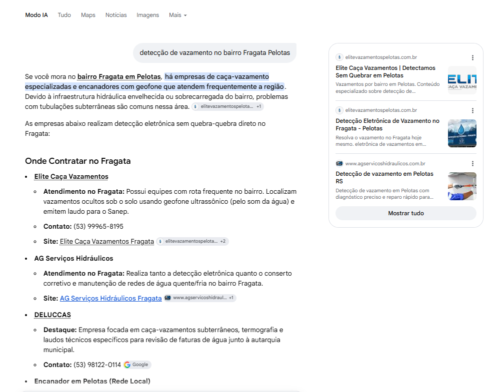 Google: resposta para "detecção de vazamento no bairro Fragata Pelotas" citando Elite Caça Vazamentos