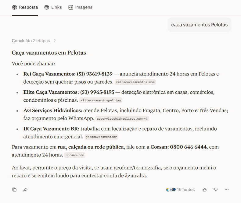 Perplexity: resposta para "caça vazamentos Pelotas" citando Elite Caça Vazamentos
